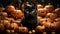A curious calico cat lounges amidst a sea of vibrant pumpkins