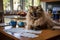 Curious calico cat sitting at elegant table, engrossed in checking important papers