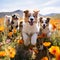 Curious Canines - A pack of adorable puppies exploring a colorful field filled with blooming wildflowers