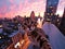 A curious cat on a city rooftop at sunset, offering an urban exploration theme with a stunning cityscape backdrop