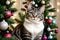 Curious cat and decorated Christmas tree