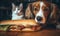 Curious cat and dog eyeing a hot dog. Created with AI