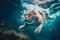 Curious cat exploring the wonders of underwater diving, Generative AI