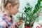 Curious child girl in greenhouse using a magnifying glass to look through, outdoors nature.