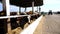 Curious cows looking into camera on dairy farm. Well-groomed kines eating hay at milk factory. Cattle chewing fodder at