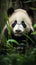 Curious Cub: Panda in the Forest. Generative AI