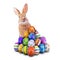 Curious, cute and funny Easter Bunny or Easter Rabbit peeking behind a pile of painted decorated or ornate Easter Eggs for Easter