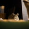 Curious Degu in Cozy Living Room