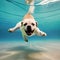 Curious dog swimming underwater - ai generated image