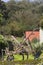 Curious donkey in shed barn looking in spanish countryside