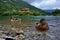 Curious duck in High Tatras mountains