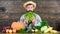 Curious farmer. bearded mature farmer. harvest festival. man chef with rich autumn crop. organic and natural food. happy