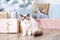 Curious fluffy ragdoll cat stands near gifts under Christmas tree. Cats and New Year. Christmas gifts and decorations. Blue-eyed