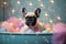 Curious French Bulldog in Whimsical Bathtime Scene (AI Generated)