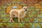 Curious Frenchie on Mosaic Tiled Staircase