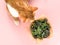 Curious ginger cat sniffs fresh baked dehydrated kale chips on pink background