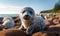 Curious grey seal pup resting on a pebble beach with the ocean in the background embodying wildlife innocence