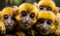 Curious Group of Squirrel Monkeys Gazing Intently Vivid Yellow Fur Expressive Faces Close-up Portrait