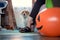 Curious jack russell dog sitting next to woman sitting on sofa at home halloween pumpkin balloon