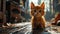 Curious Kitten Explores the Sunlit Cobblestone Paths, generative ai