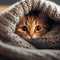 A curious kitten peeking out from a cozy, knitted blanket, its big round eyes filled with wonder by AI generated