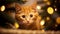 A curious kitten peeks out from behind a Christmas ornament - Xmas concept - Generative AI