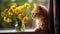 Curious Kitten Sniffs Flower in Close-up Shot generated by AI tool