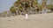 Curious little girl approaching a seagull