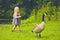 Curious little girl and cackling crane at farm