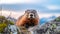 Curious Marmot peeking out from Alpine Rocks