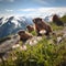 Curious Marmots in Alpine Habitat. Generative AI