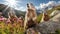 Curious Marmots in Rocky Alpine Landscape. Generative AI
