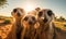 Curious meerkat captures charming selfie with a curious expression. Creating using generative AI tools