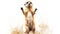 Curious Meerkat Standing on Hind Legs AI Generated