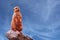 A curious meerkat or suricate Suricata suricatta looking towards the horizon, standing on a tree branch