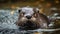 A curious otter swimming through its enclosure created with Generative AI