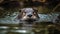 A curious otter swimming through its enclosure created with Generative AI