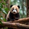 Curious Panda Cub Climbing Bamboo Tree in Lush Forest