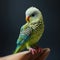 A curious Parakeet perched on a finger, its feathers ruffled and beak open in song by AI generated