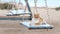Curious playful cat rides on retro wooden swing.