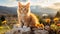 Curious and playful kitten joyfully discovering the mesmerizing beauty of nature s wonders