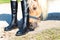 Curious pony smelling young girl equestrian boots.