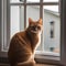 A curious portrait of an orange tabby cat gazing out of a window3