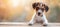 Curious puppy peeking over beige wood, adorable pet on blurred backdrop with text space.