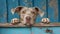 Curious puppy peeking over blue wooden background, adorable dog with copy space, blurred background.