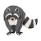 Curious Raccoon Animal with Dexterous Front Paws Walking Vector Illustration