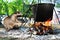 Curious raccoon warms his paws near the bonfire