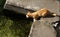 Curious red cat looks at the water from a stone shore