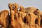 Curious rock formations in Spitzkoppe