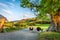 Curious sheeps on pasture in summer, Lake District, England